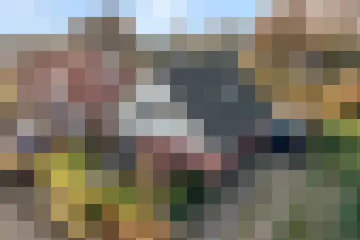 De Ooster Esch 12 Gramsbergen thumbnail 70