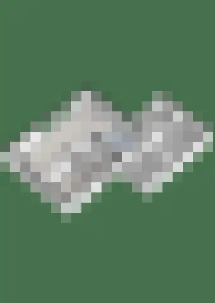 De Ooster Esch 12 Gramsbergen thumbnail 78
