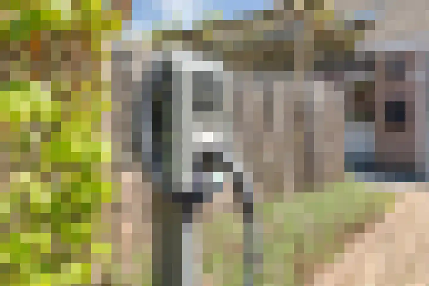 De Ooster Esch 16 a Gramsbergen thumbnail 11