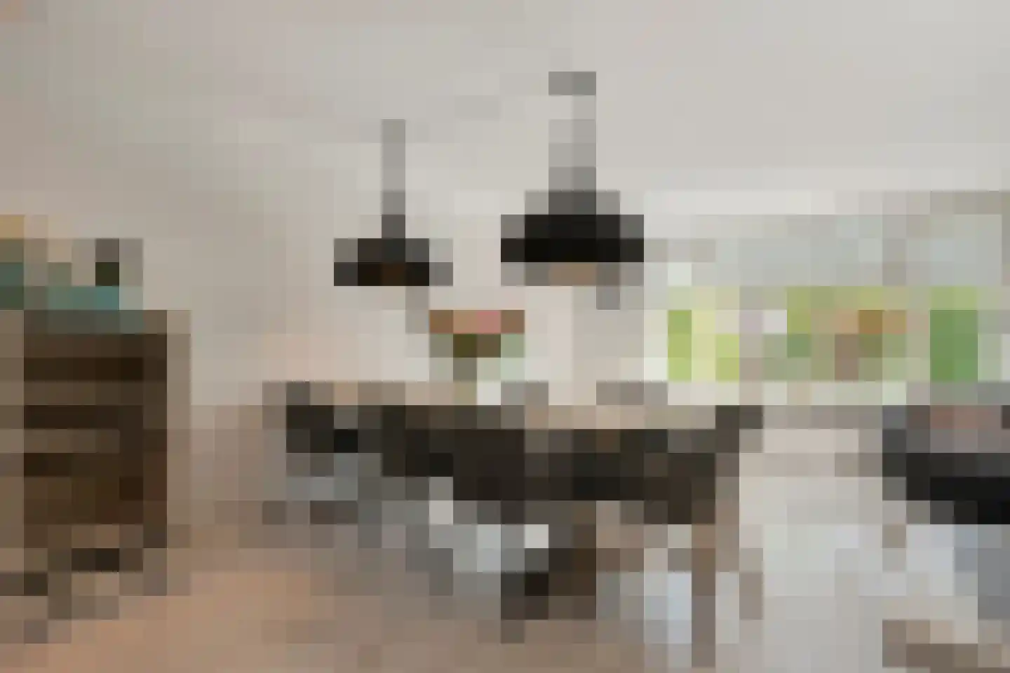De Ooster Esch 16 a Gramsbergen thumbnail 16
