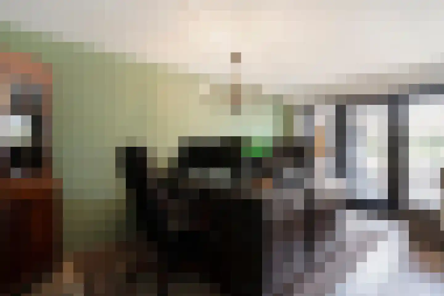 De Ooster Esch 16 a Gramsbergen thumbnail 28
