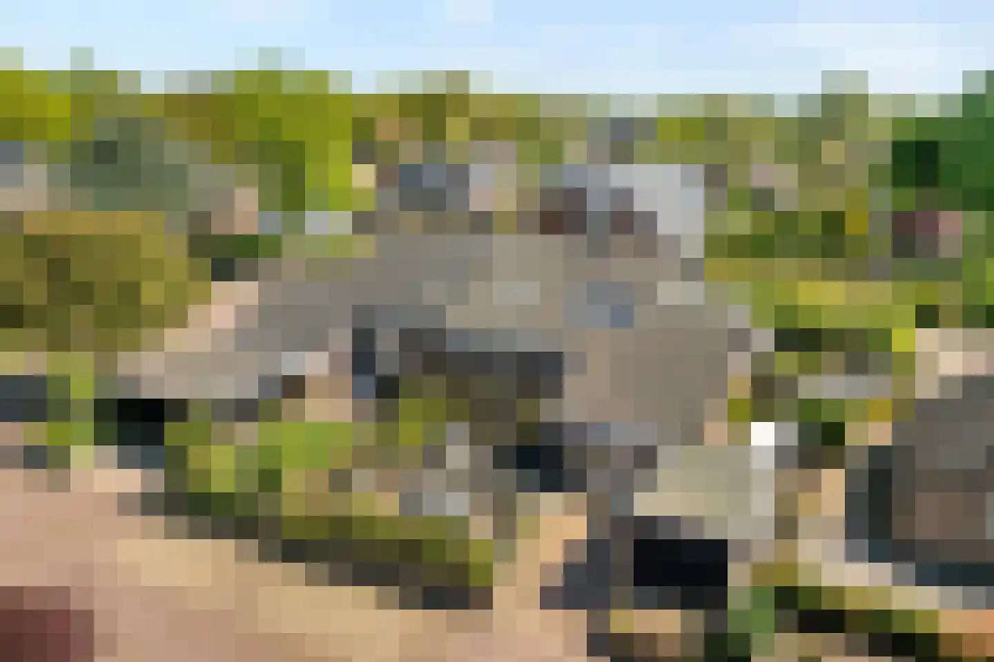 De Ooster Esch 16 a Gramsbergen thumbnail 4