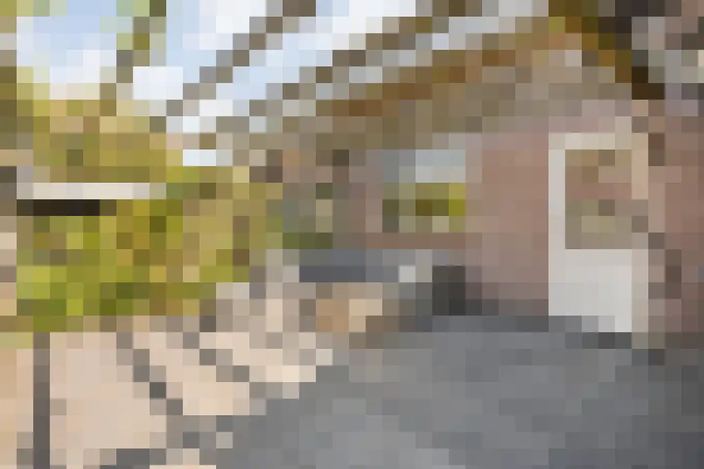 De Ooster Esch 16 a Gramsbergen thumbnail 48