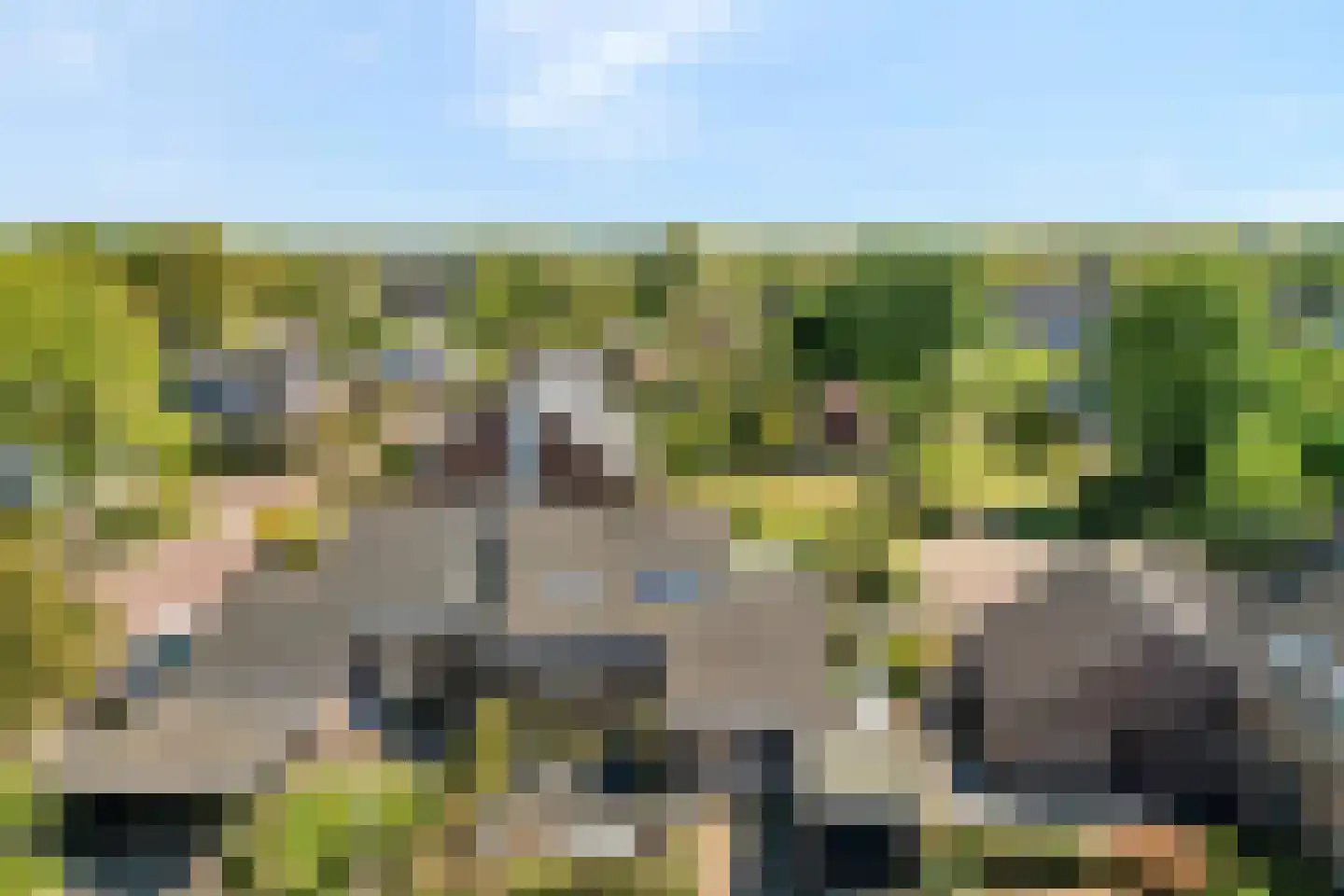 De Ooster Esch 16 a Gramsbergen thumbnail 5