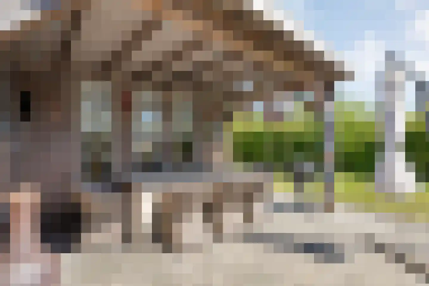 De Ooster Esch 16 a Gramsbergen thumbnail 51