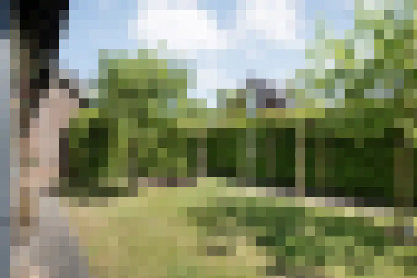 De Ooster Esch 16 a Gramsbergen thumbnail 53