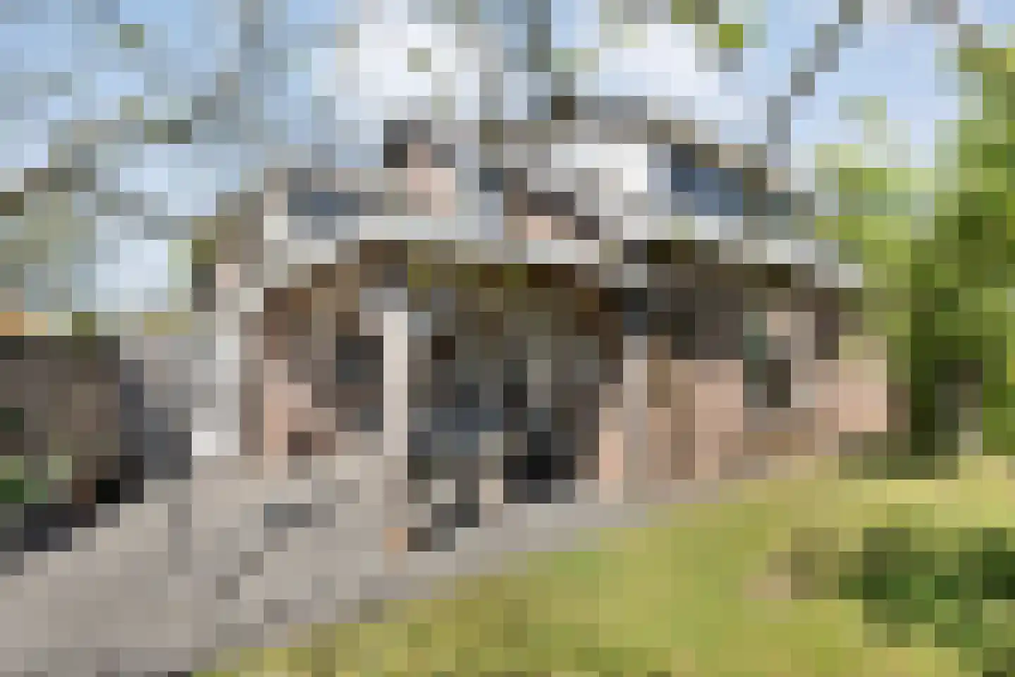 De Ooster Esch 16 a Gramsbergen thumbnail 57