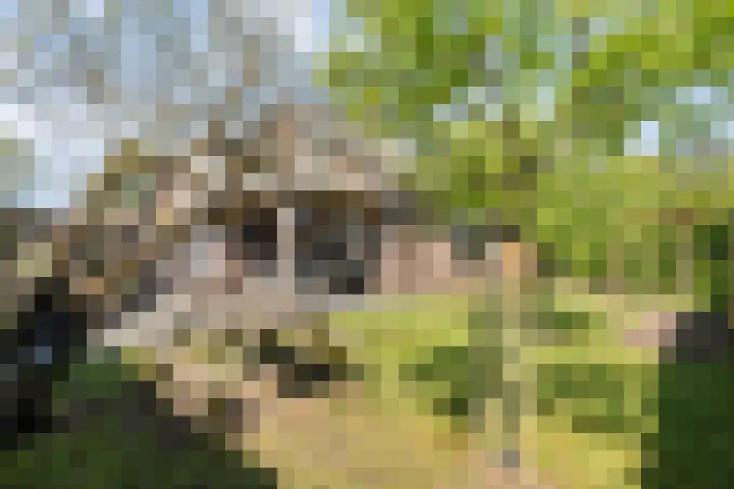 De Ooster Esch 16 a Gramsbergen thumbnail 58
