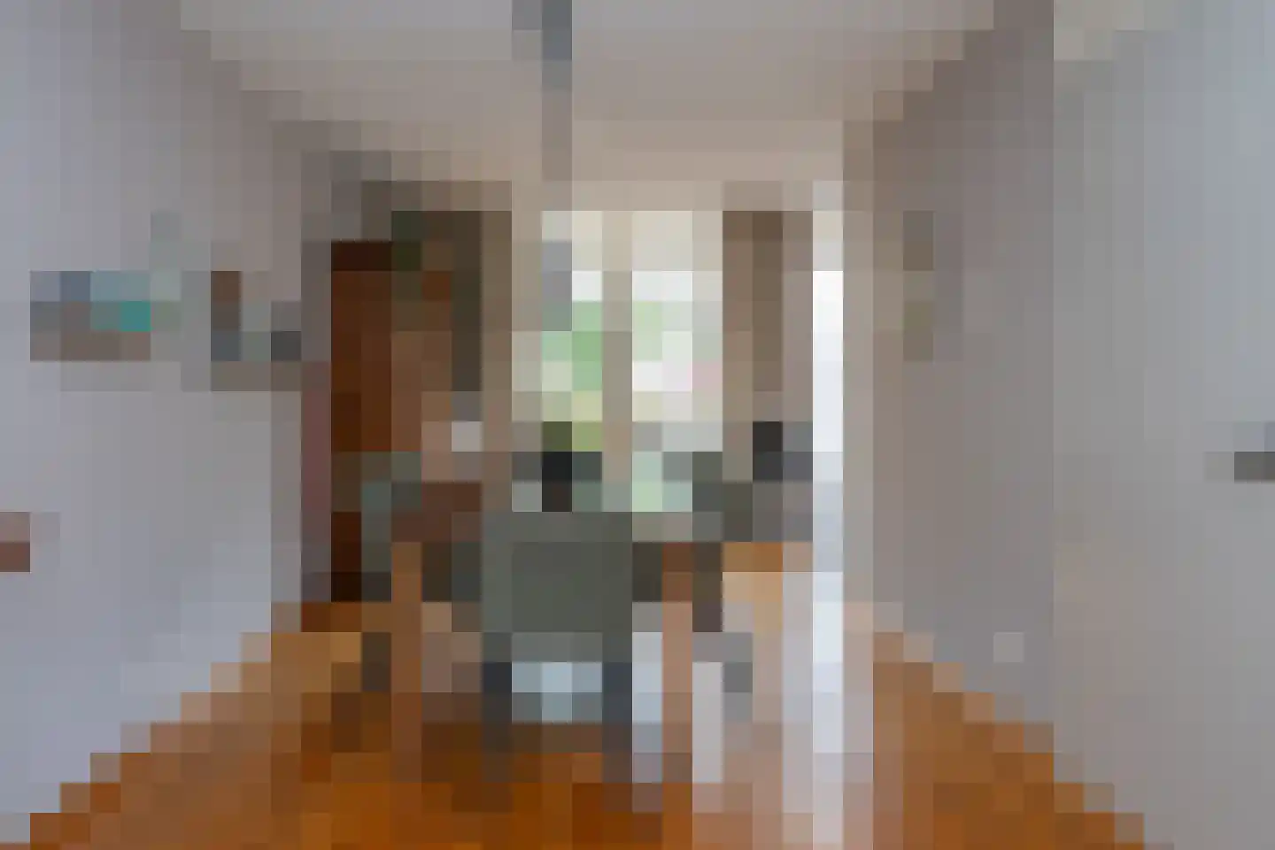 de Oosterakker 6 Oldebroek thumbnail 16