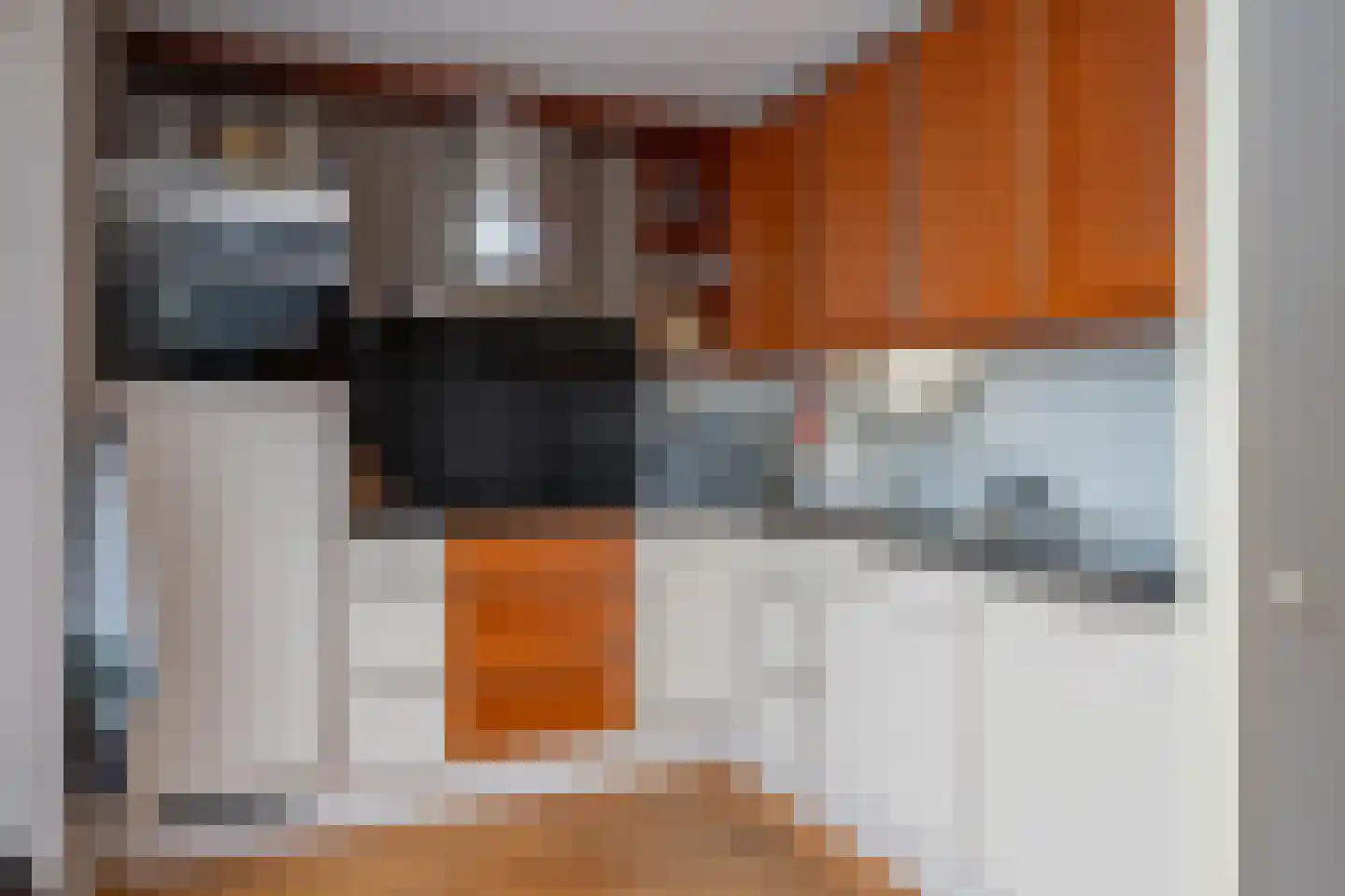 de Oosterakker 6 Oldebroek thumbnail 19