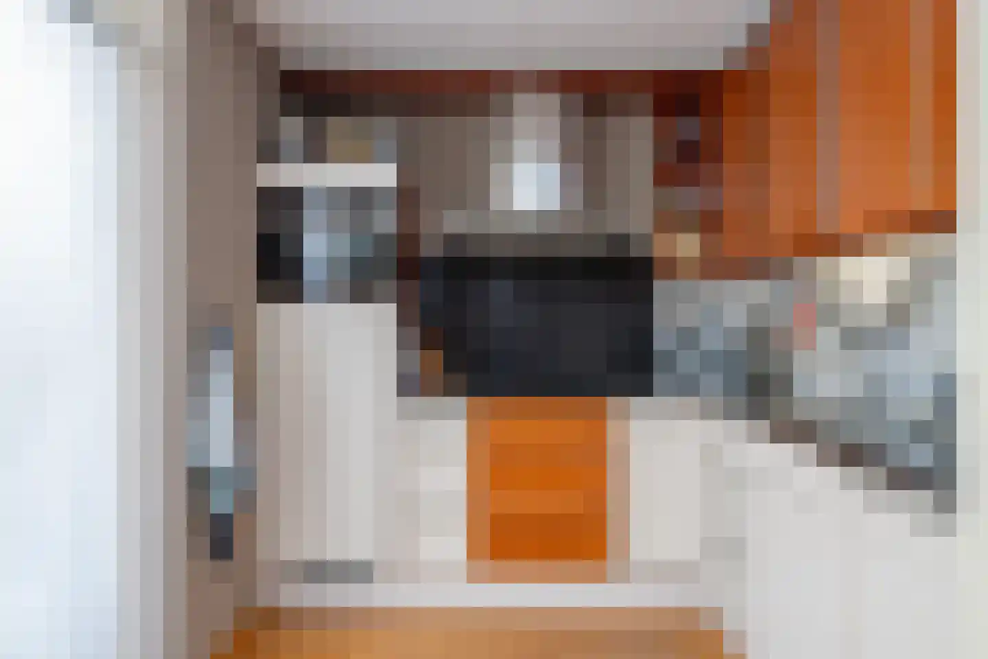 de Oosterakker 6 Oldebroek thumbnail 20