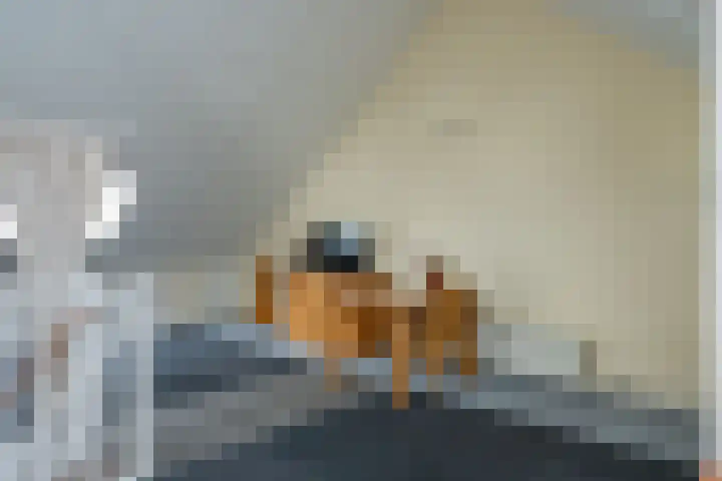 de Oosterakker 6 Oldebroek thumbnail 36