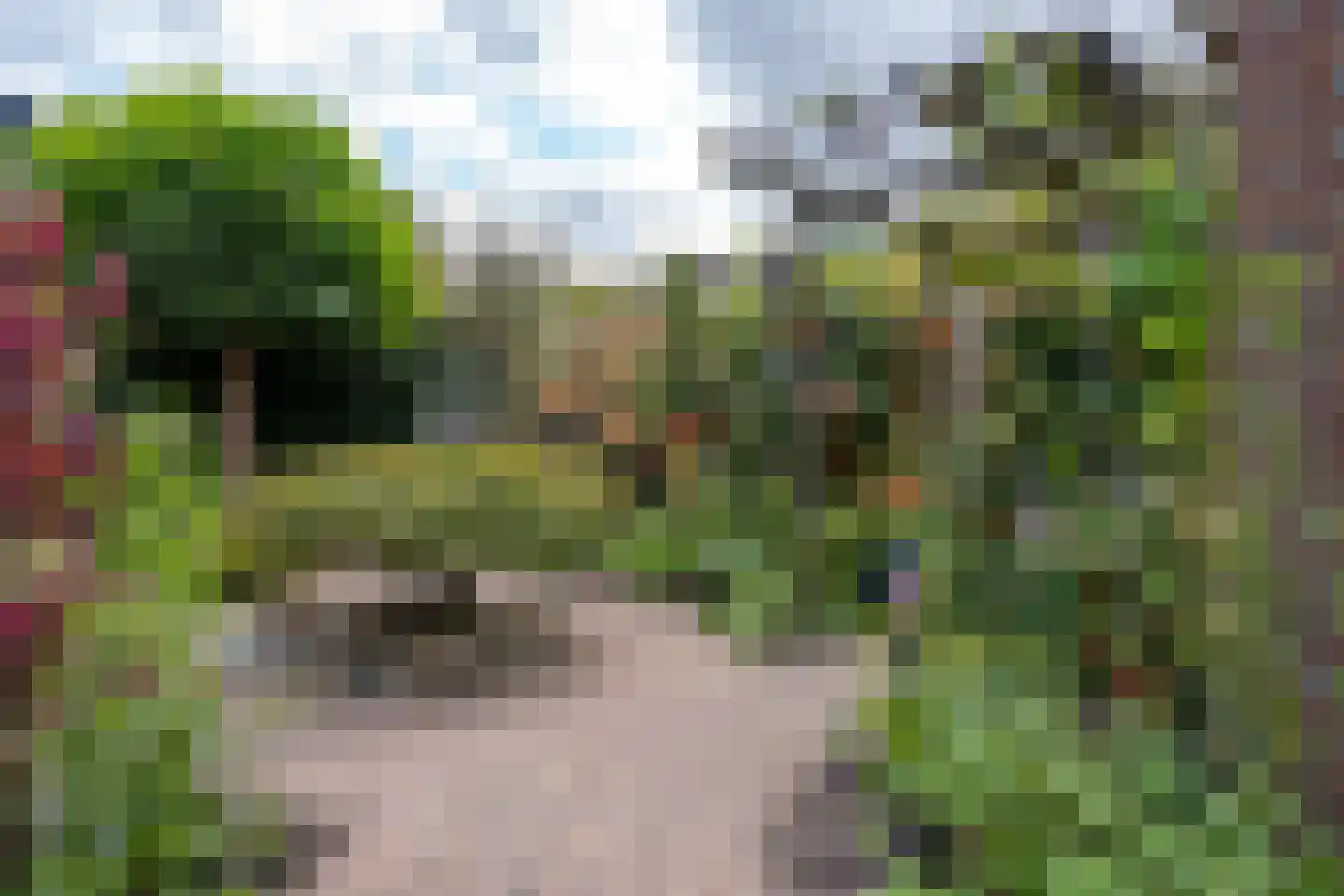 de Oosterakker 6 Oldebroek thumbnail 44