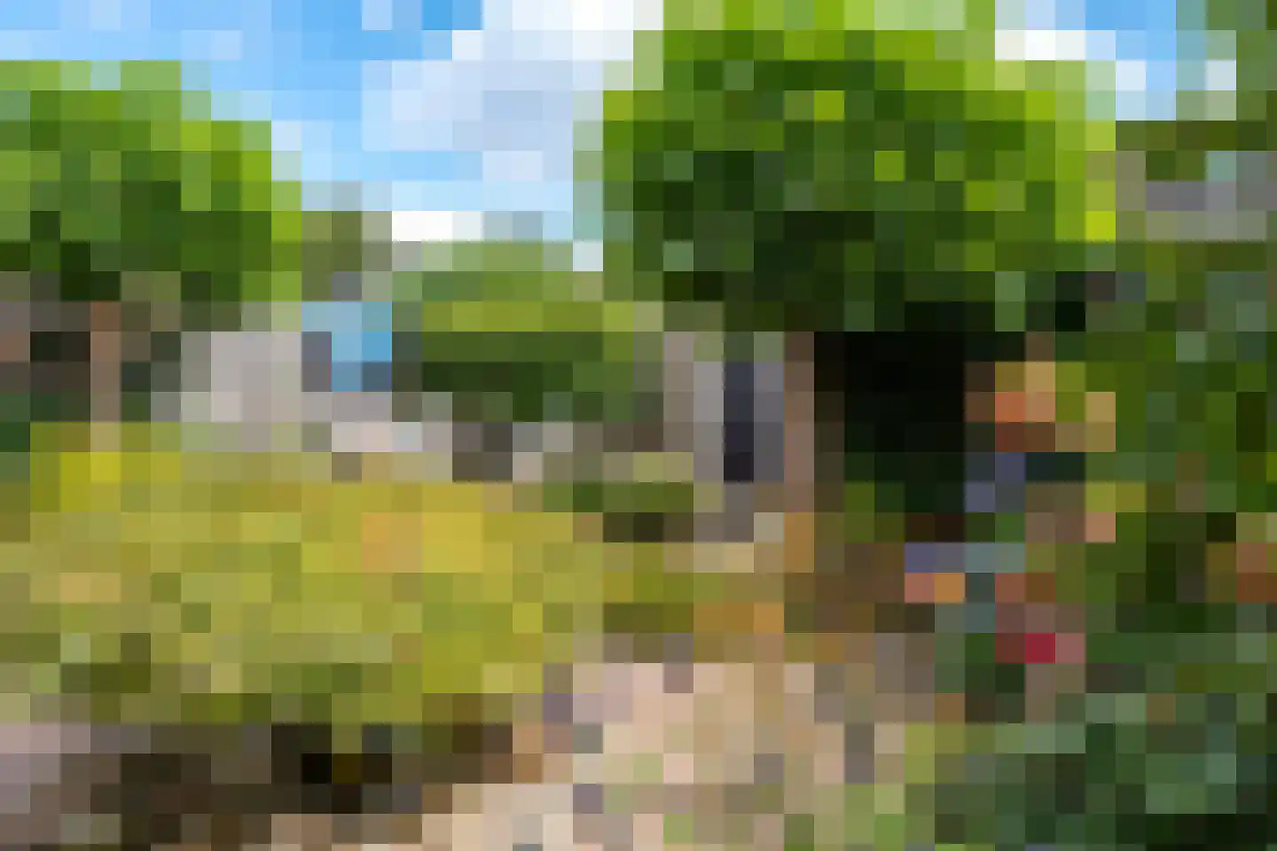 de Oosterakker 6 Oldebroek thumbnail 46