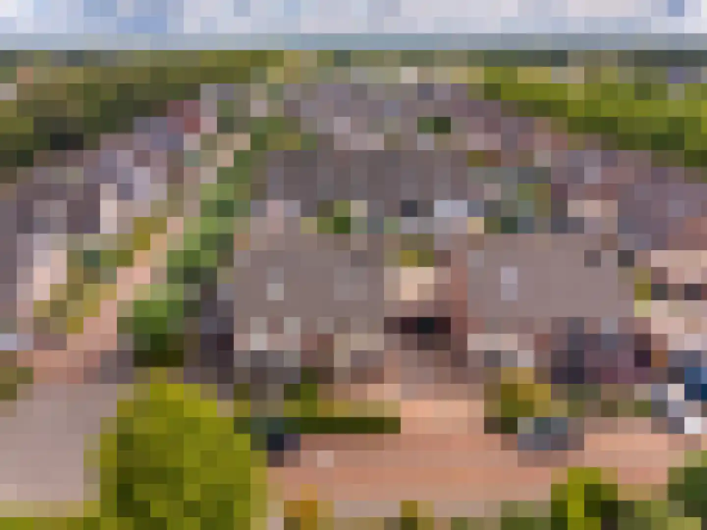 de Oosterakker 6 Oldebroek thumbnail 52