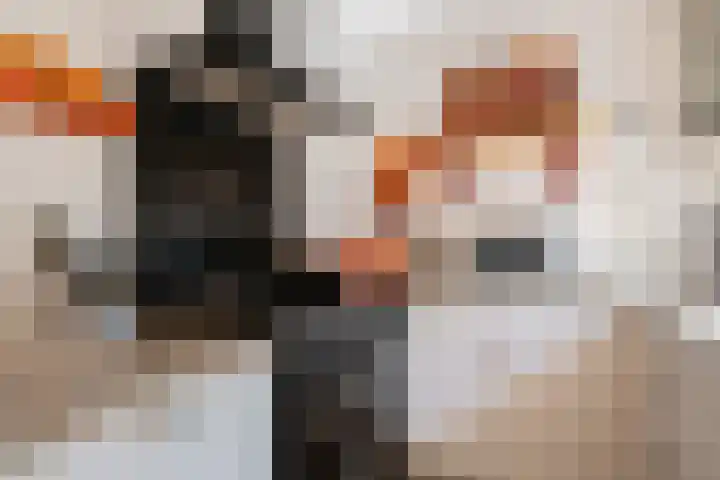 De Oostermaat 10 Westerbork thumbnail 16