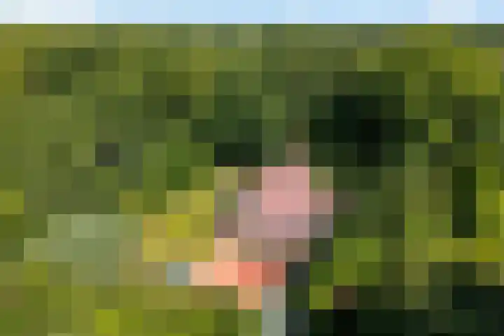 De Oostermaat 10 Westerbork thumbnail 29