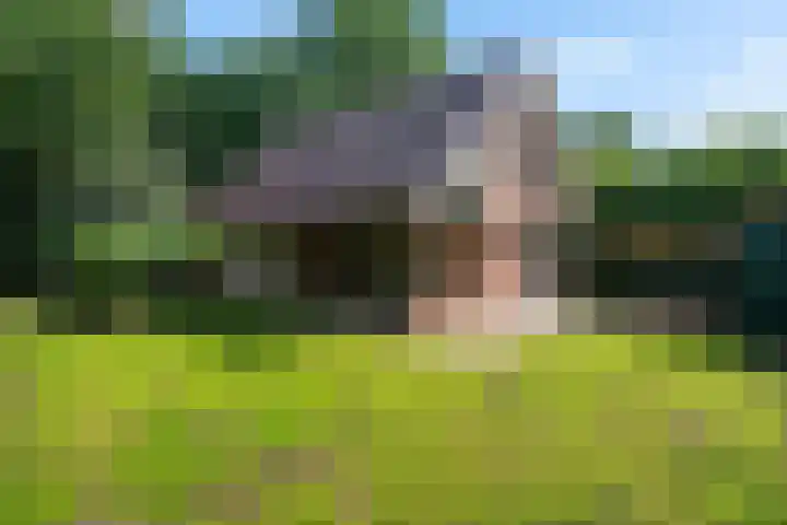 De Oostermaat 10 Westerbork thumbnail 30