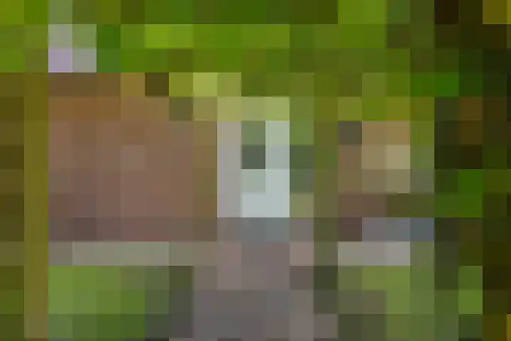 De Oostermaat 10 Westerbork thumbnail 31