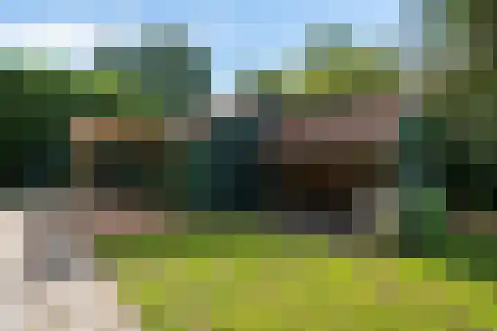 De Oostermaat 10 Westerbork thumbnail 35