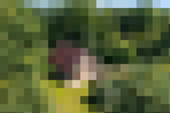 De Oostermaat 10 Westerbork thumbnail 39