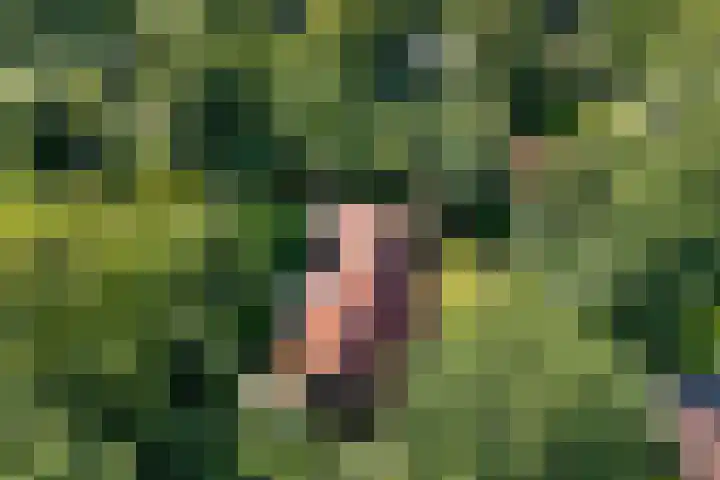 De Oostermaat 10 Westerbork thumbnail 41