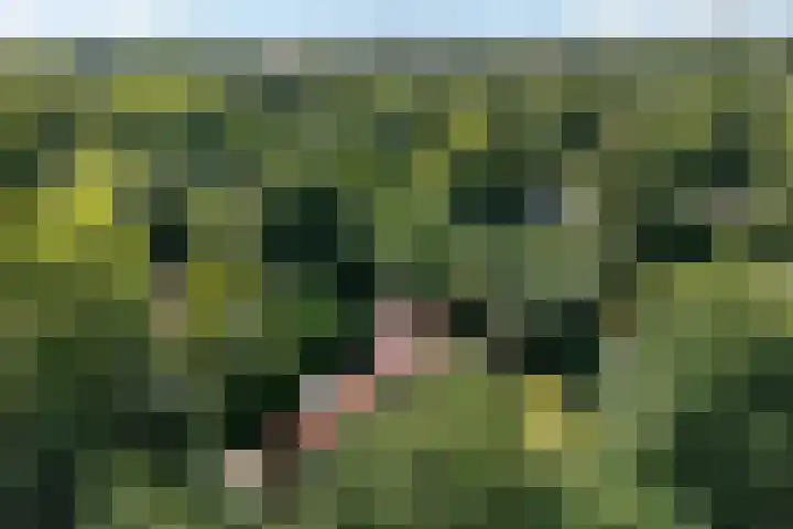 De Oostermaat 10 Westerbork thumbnail 5