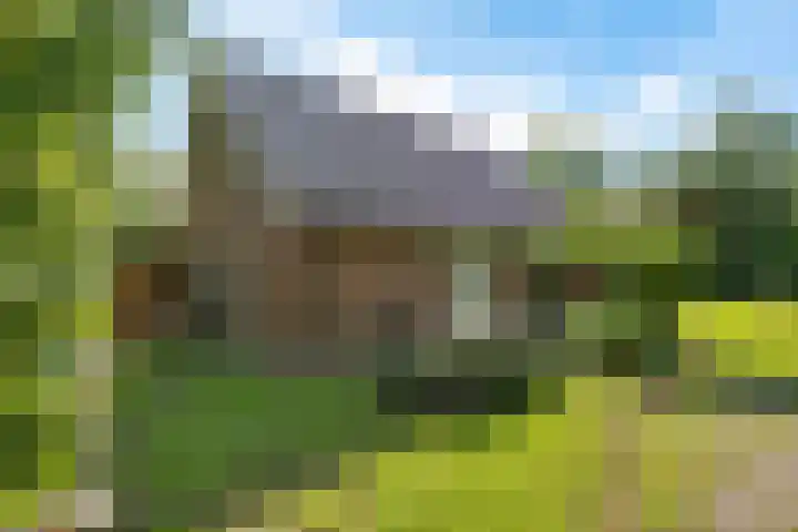 De Oostermaat 10 Westerbork thumbnail 9