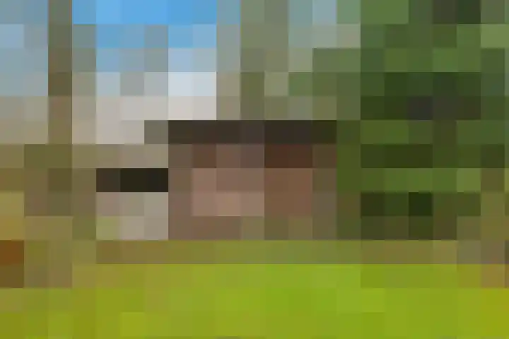 De Oostermaat 25 Westerbork thumbnail 10
