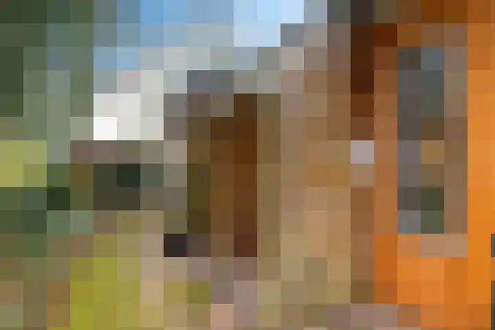 De Oostermaat 25 Westerbork thumbnail 13