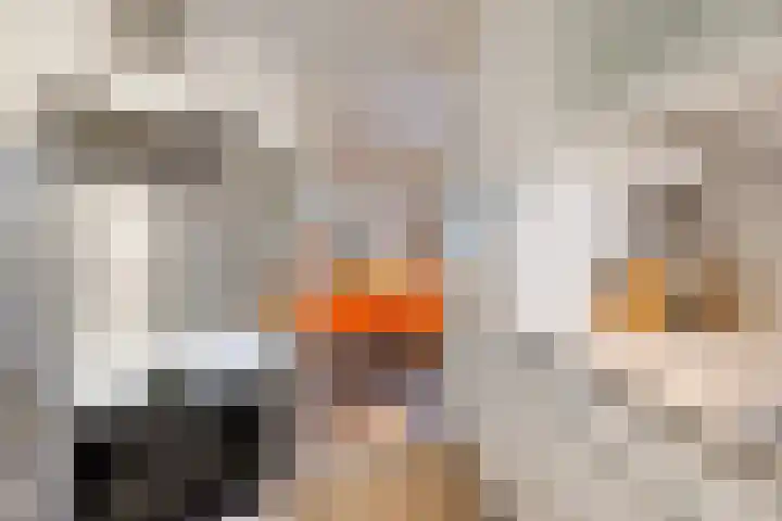 De Oostermaat 25 Westerbork thumbnail 15