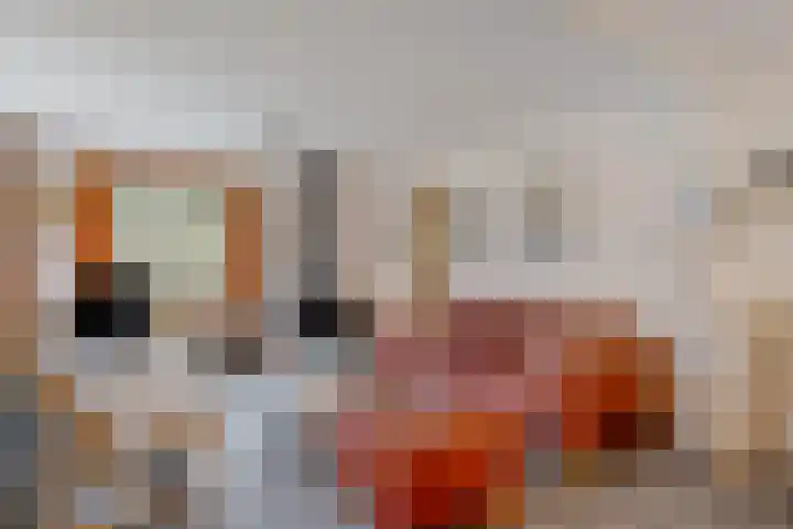 De Oostermaat 25 Westerbork thumbnail 18