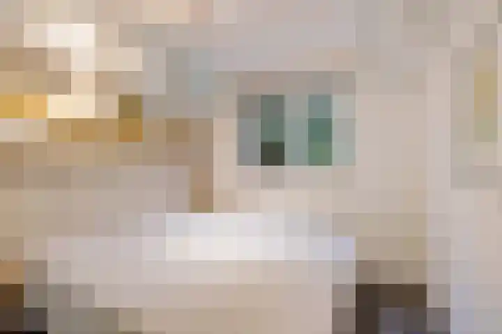 De Oostermaat 25 Westerbork thumbnail 27