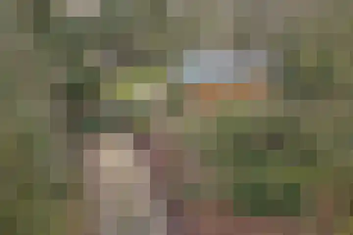 De Oostermaat 25 Westerbork thumbnail 31