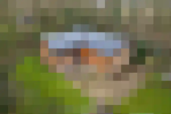 De Oostermaat 25 Westerbork thumbnail 32