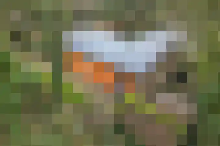 De Oostermaat 25 Westerbork thumbnail 33