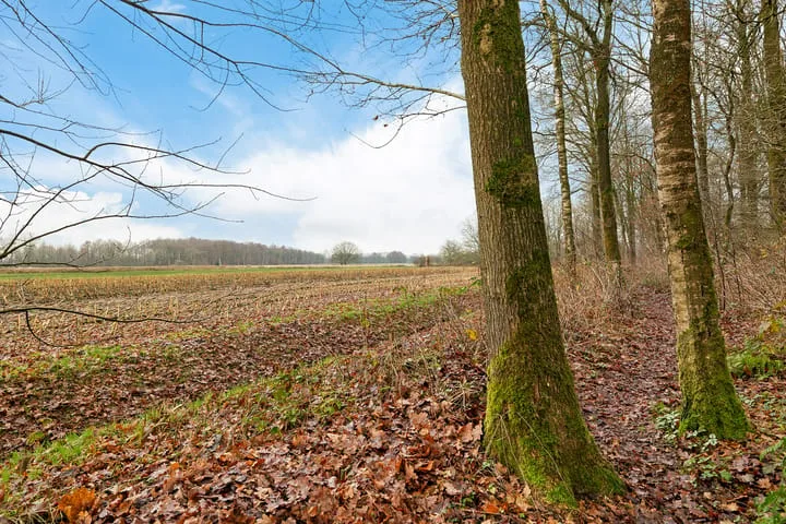 De Oostermaat 25 Westerbork thumbnail 5