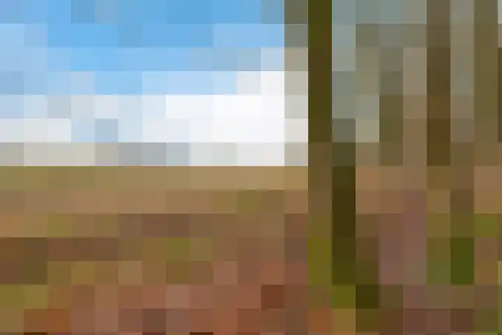 De Oostermaat 25 Westerbork thumbnail 5