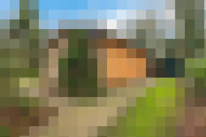 De Oostermaat 25 Westerbork thumbnail 6