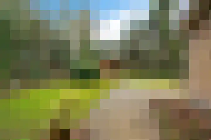 De Oostermaat 25 Westerbork thumbnail 8