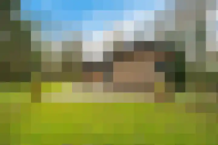 De Oostermaat 25 Westerbork thumbnail 9