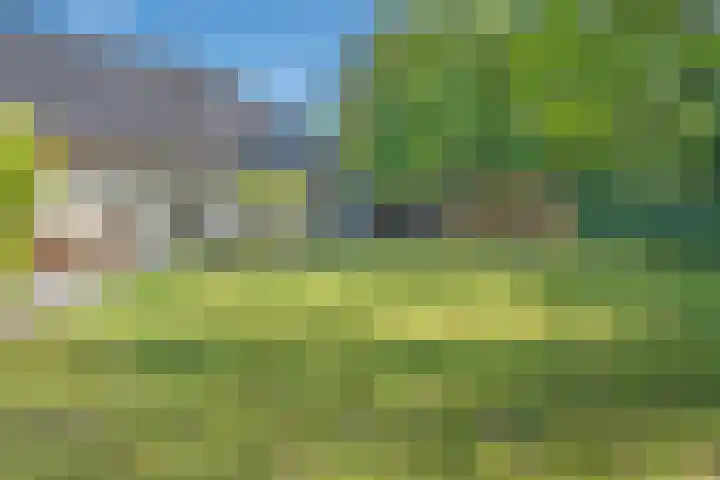 De Oostermaat 3 Westerbork thumbnail 10