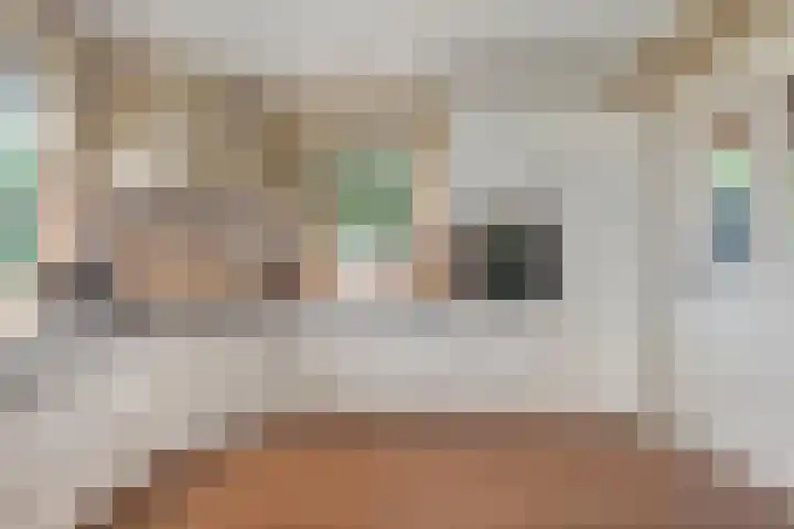 De Oostermaat 3 Westerbork thumbnail 12