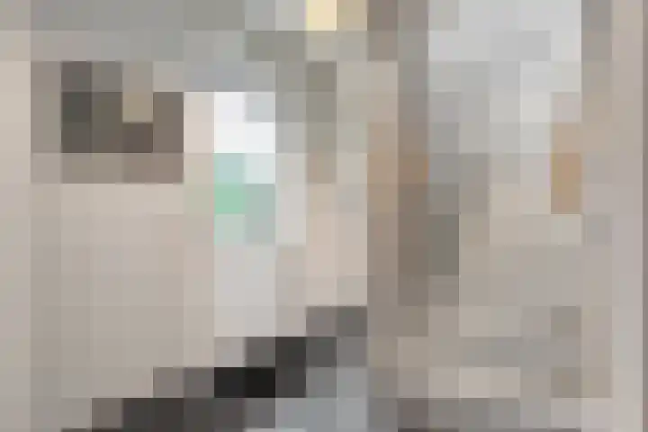 De Oostermaat 3 Westerbork thumbnail 23