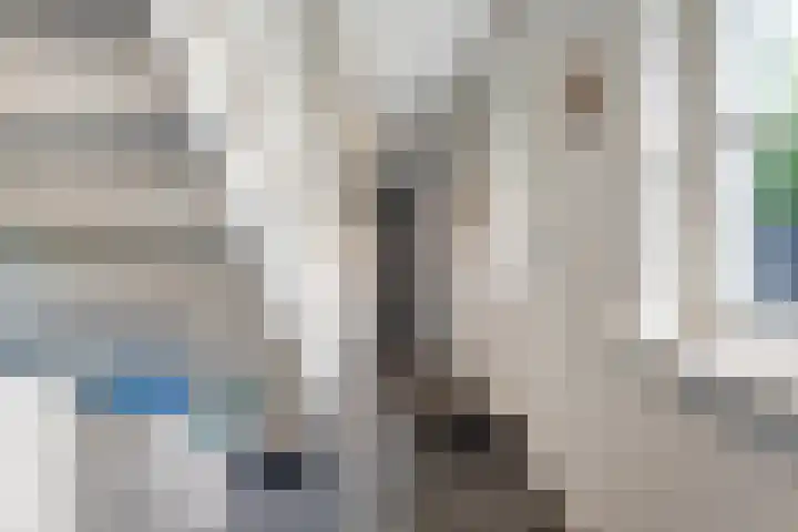 De Oostermaat 3 Westerbork thumbnail 24