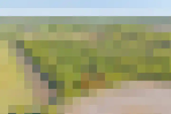 De Oostermaat 3 Westerbork thumbnail 4