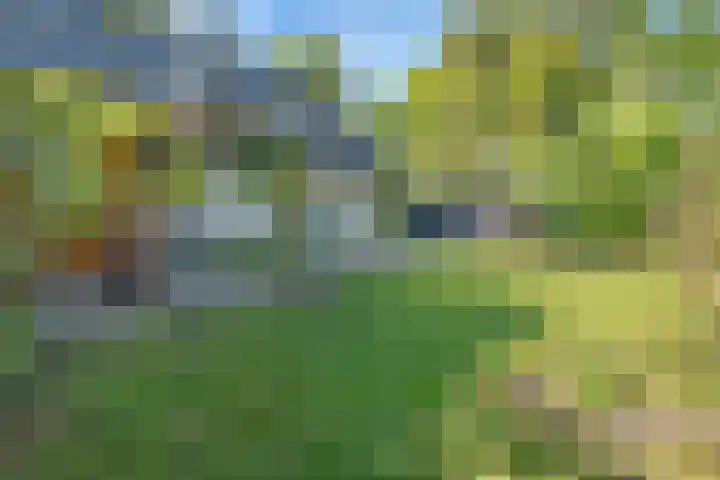 De Oostermaat 3 Westerbork thumbnail 44