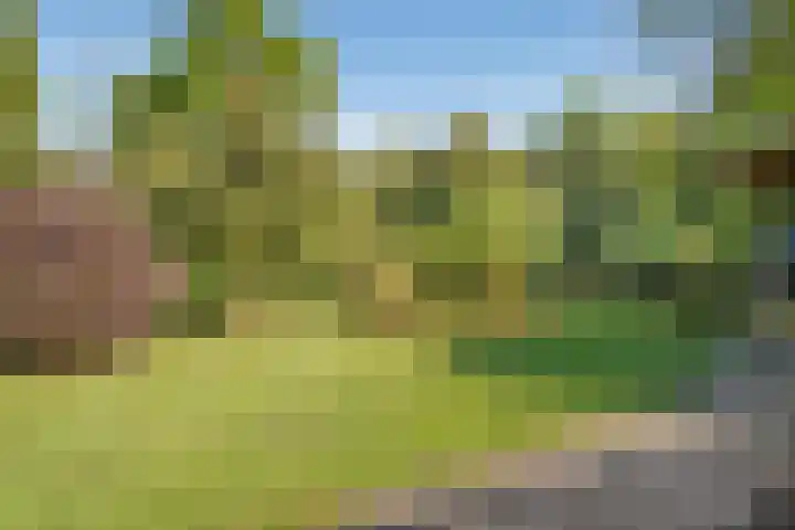 De Oostermaat 3 Westerbork thumbnail 47
