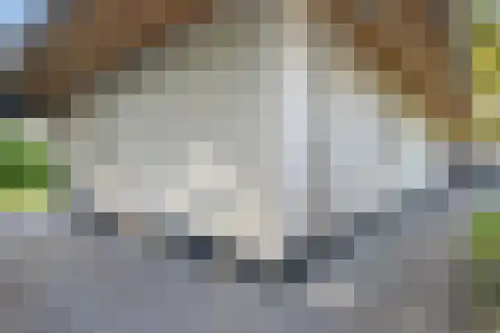 De Oostermaat 3 Westerbork thumbnail 48