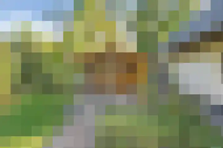 De Oostermaat 3 Westerbork thumbnail 49